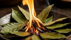 Víte, proč lidé doma pálí bobkový list? Výsledky vás překvapí.